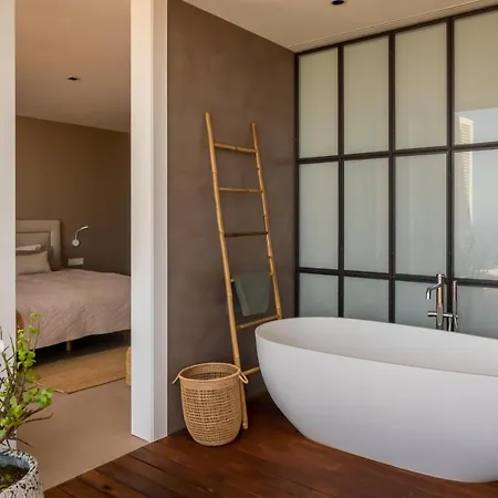 Olive Costa Adeje (Tenerife)